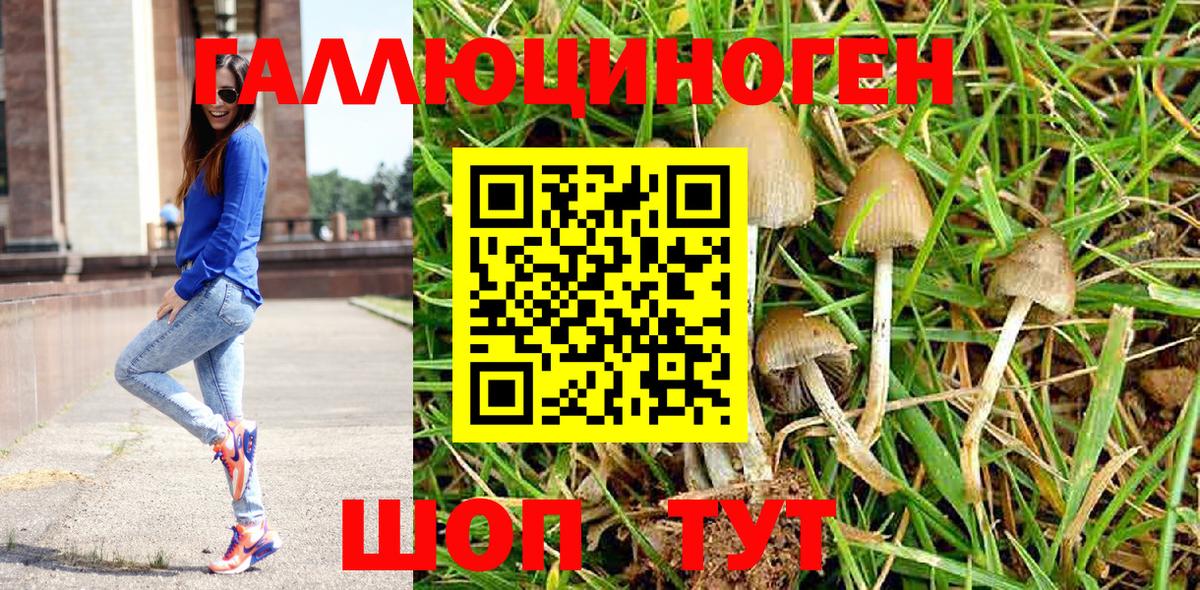 Галлюциногенные грибы прущие грибы Нурлат